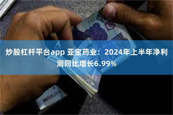 炒股杠杆平台app 亚宝药业：2024年上半年净利润同比增长6.99%