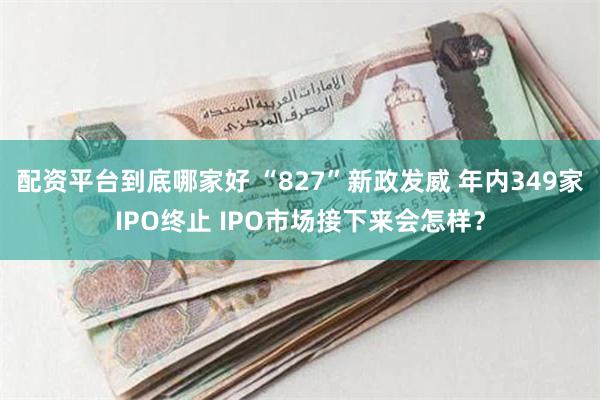 配资平台到底哪家好 “827”新政发威 年内349家IPO终止 IPO市场接下来会怎样？