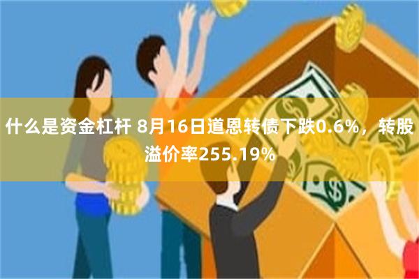 什么是资金杠杆 8月16日道恩转债下跌0.6%，转股溢价率255.19%