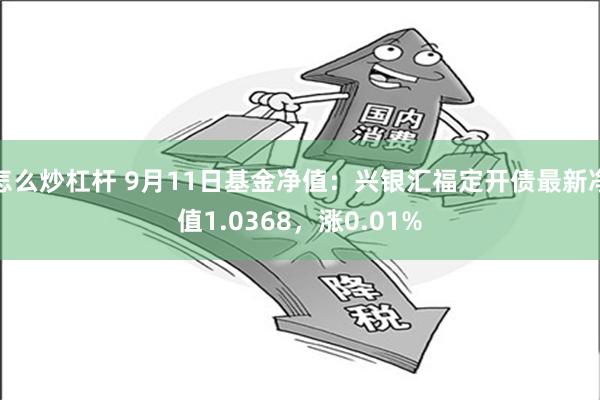 怎么炒杠杆 9月11日基金净值：兴银汇福定开债最新净值1.0368，涨0.01%