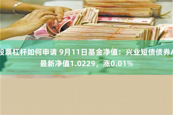 股票杠杆如何申请 9月11日基金净值：兴业短债债券A最新净值1.0229，涨0.01%