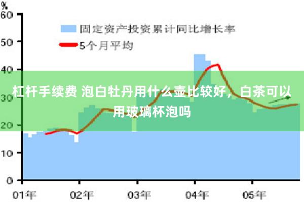 杠杆手续费 泡白牡丹用什么壶比较好，白茶可以用玻璃杯泡吗