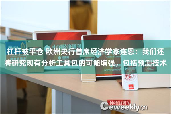 杠杆被平仓 欧洲央行首席经济学家连恩：我们还将研究现有分析工具包的可能增强，包括预测技术