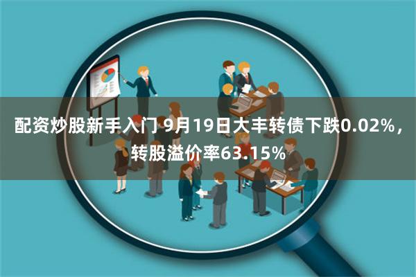 配资炒股新手入门 9月19日大丰转债下跌0.02%，转股溢价率63.15%