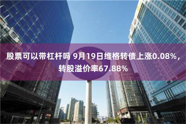 股票可以带杠杆吗 9月19日维格转债上涨0.08%，转股溢价率67.88%