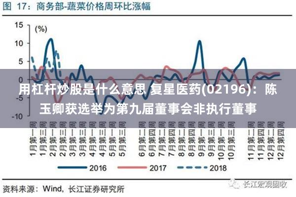 用杠杆炒股是什么意思 复星医药(02196)：陈玉卿获选举为第九届董事会非执行董事