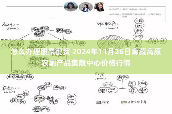 怎么办理股票配资 2024年11月26日青藏高原农副产品集散中心价格行情