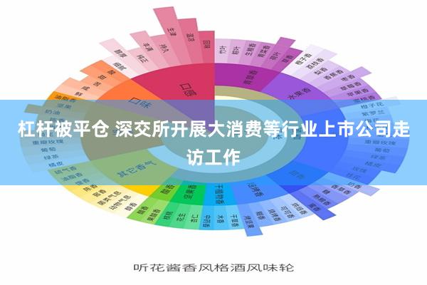 杠杆被平仓 深交所开展大消费等行业上市公司走访工作