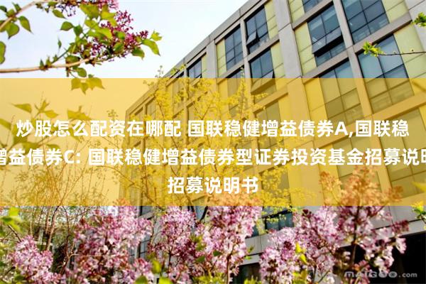 炒股怎么配资在哪配 国联稳健增益债券A,国联稳健增益债券C: 国联稳健增益债券型证券投资基金招募说明书