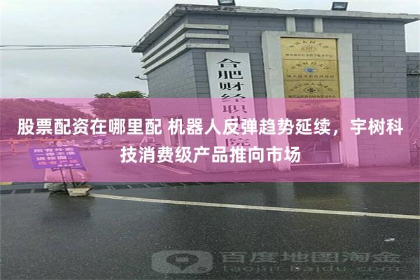 股票配资在哪里配 机器人反弹趋势延续，宇树科技消费级产品推向市场