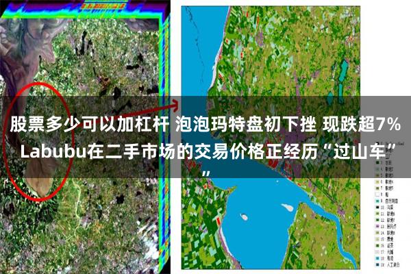 股票多少可以加杠杆 泡泡玛特盘初下挫 现跌超7% Labubu在二手市场的交易价格正经历“过山车”